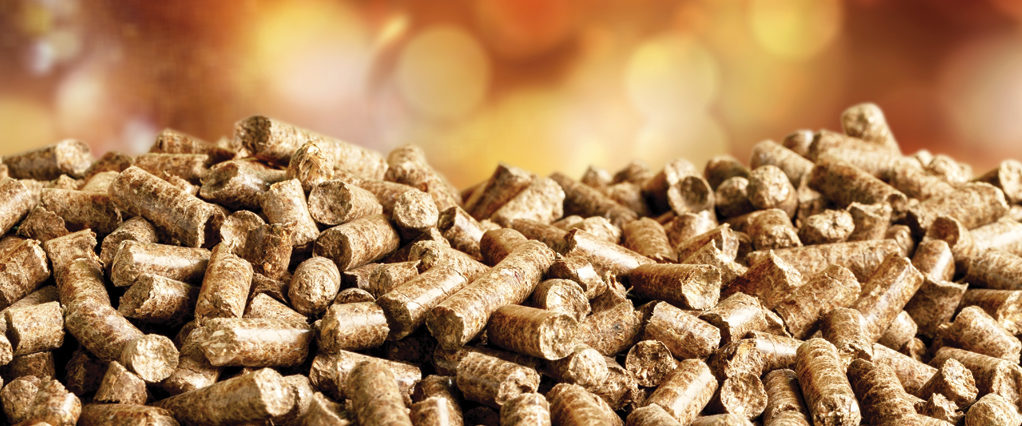 CHAUDIERE-BIOMASSE-photo-metiers-1024x426